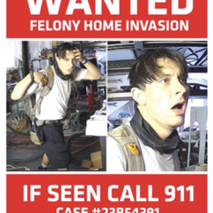 2021 Polygon Premier 5 Silver, gray or bare metal and Green