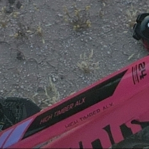 Schwinn High Timber Pink and Black