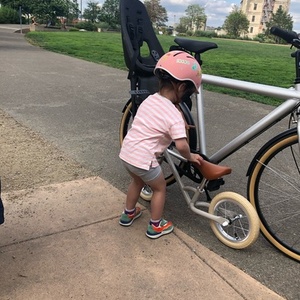 VanMoof Standard Straight Frame Silver, gray or bare metal