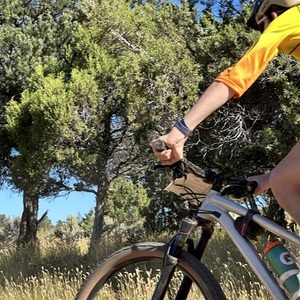 2020 Specialized Fuse Silver, gray or bare metal