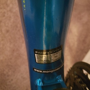 2021 Mongoose Status 2.2 Teal and Green