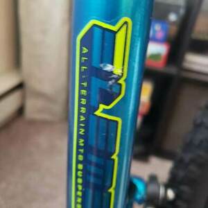 2021 Mongoose Status 2.2 Teal and Green