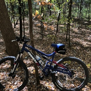 2016 Diamondback Recoil Blue