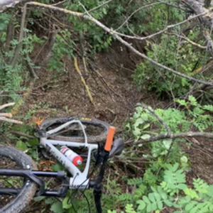 2021 Giant Fathom 2 Silver, gray or bare metal