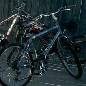 Raleigh SOLO Silver, gray or bare metal