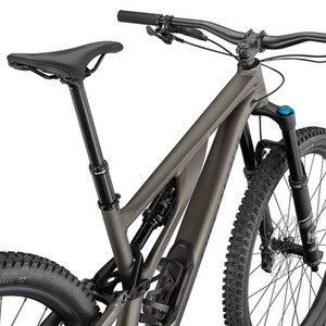 2021 Specialized Stumpjumper EVO Comp Alloy Silver, gray or bare metal