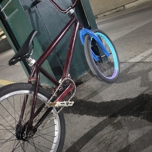 2023 Sunday Bmx Brown