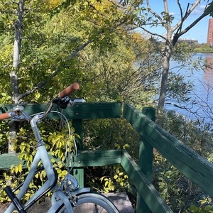 2022 Retrospec Beaumont Plus Blue