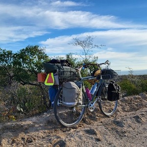 2011 Rivendell Bicycle Works Sam hillborne Blue