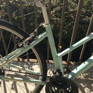 2014 Giant Green
