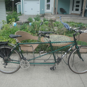 1996 Trek T100 tandem Green