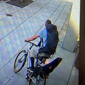 VanMoof Standard Straight Frame Silver, gray or bare metal