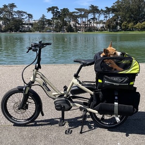 2021 Tern HSD P9 Brown