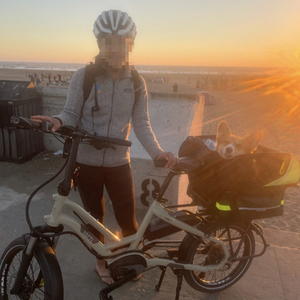 2021 Tern HSD P9 Brown