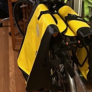 2015 Jamis Bosanova Silver, gray or bare metal