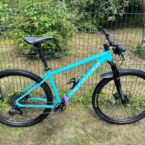2022 Specialized Rockhopper Expert 29 Blue