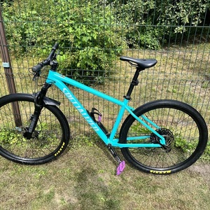 2022 Specialized Rockhopper Expert 29 Blue