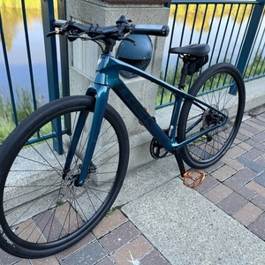 2023 Trek Trek FX4 Sport