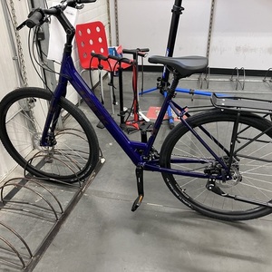 2022 Trek Purple