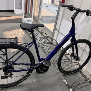 2022 Trek Purple