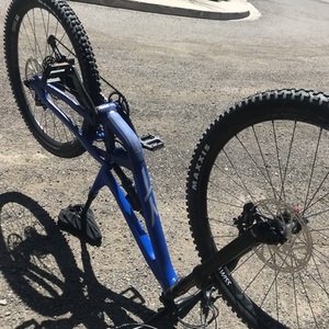 2020 YT Capra Blue