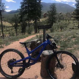 2020 YT Capra Blue