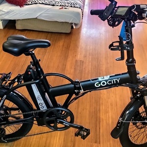 2020 GOPOWERBIKE E-Bike AMS21052173 Black