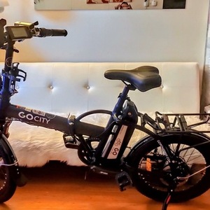 2020 GOPOWERBIKE E-Bike AMS21052173 Black