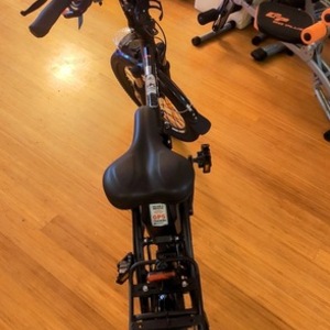 2020 GOPOWERBIKE E-Bike AMS21052173 Black