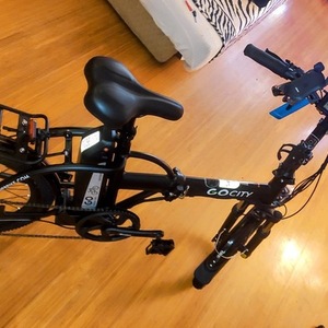 2020 GOPOWERBIKE E-Bike AMS21052173 Black