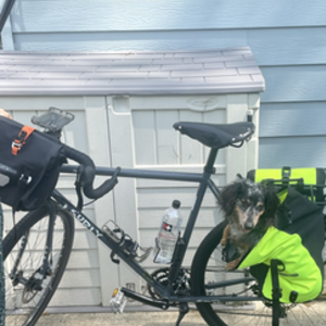 2019 Surly Disc Trucker Silver, gray or bare metal