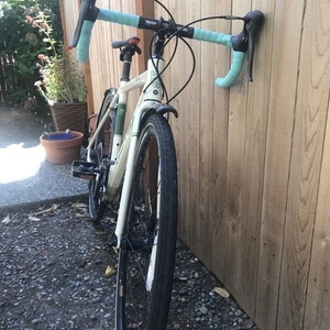 2017 Kona Rove White