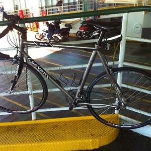 2009 Seven Cycles Alaris Silver or Gray