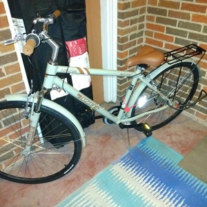 Ozone 163817 Silver, gray or bare metal and Brown