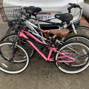 2019 Specialized Hot Rod Pink