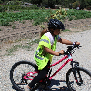 2019 Specialized Hot Rod Pink