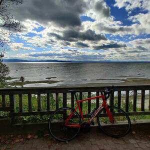 2020 Specialized Allez Red
