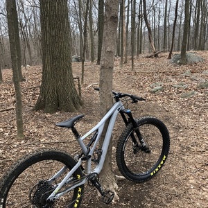 2018 Specialized Stumpjumper Silver, gray or bare metal