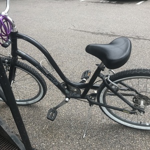 Electra Townie 7 speed Black