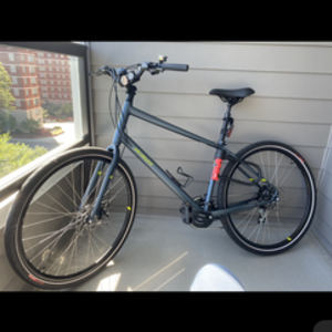 2020 Specialized Blue