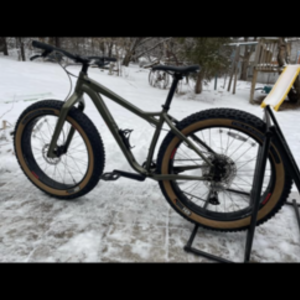 2021 Salsa Mukluk Green