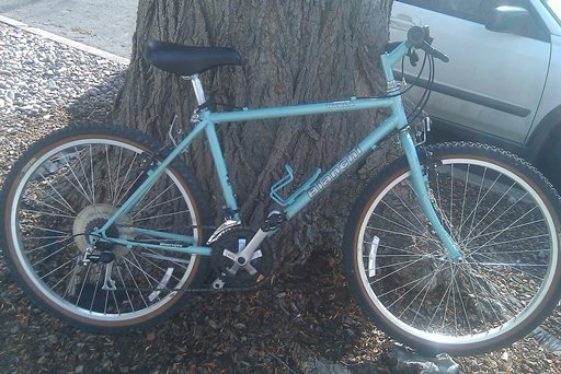 bianchi nyala bike