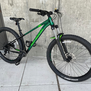 2021 Rocky Mountain Bicycles Growler Green
