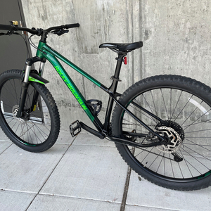 2021 Rocky Mountain Bicycles Growler Green