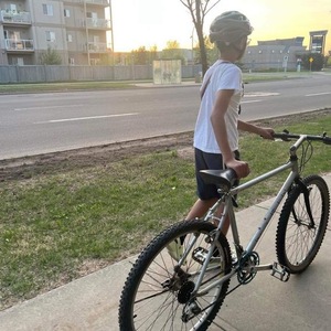 Marin Bikes Adventure Silver, gray or bare metal