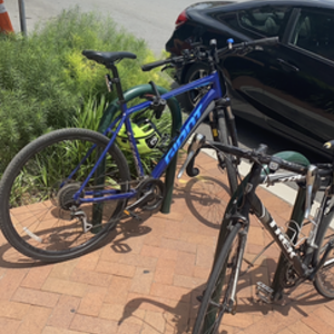 2020 Giant Hybrid XL Blue