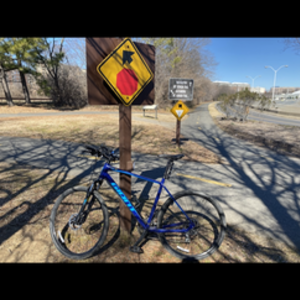 2020 Giant Hybrid XL Blue