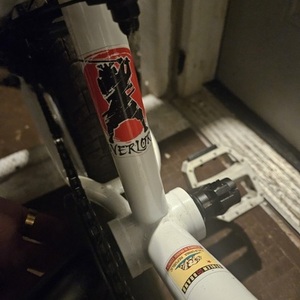 2022 Stolen Bicycle Co. White