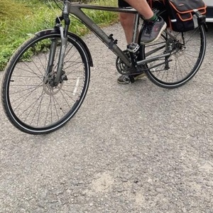 2009 Gary Fisher Genesis Silver, gray or bare metal