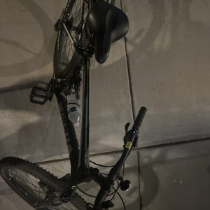 2023 Giant Talon Black